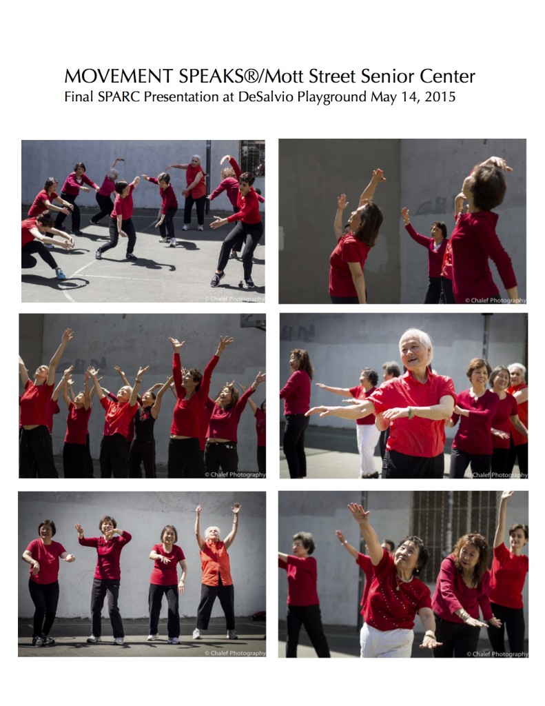 SPARC Grant Photo Page